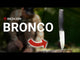 Bronco