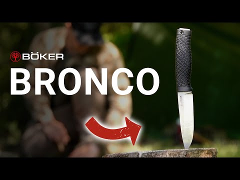 Bronco