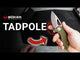 Tadpole